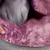 お買い得  女の子の 3d T シャツ-女の子 3D 犬 Ｔシャツ シャツ ピンク 半袖 3Dプリント 夏 活発的 ファッション かわいいスタイル ポリエステル 子供 3〜12年 クルーネック アウトドア カジュアル 日常 レギュラー