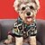 economico Maglioni-Cane Gatto Maglione Moda Carino Inverno Caldo Morbido Lavabile Confortevole All'aperto Sportivo Abbigliamento per Cani for Bichon Frisé Barboncino Volpino di Pomerania Cucciolo Papillon