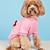 economico Vestiti per cani-autunno e inverno nuovi vestiti per animali domestici filo rosa fiocco lavorato a maglia maglione a due zampe per cani e gatti stampato in inglese