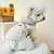 voordelige Hondenkleding-Honden Katten Pet Pouch Hoodie Citaten &amp; Gezegdes Vrije tijd Euro-Amerikaans Buiten Dagelijks gebruik Winter Hondenkleding Puppykleding Hondenoutfits Ademend Rood en wit Kostuum voor mannetjes- en