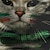 ieftine Hanorace-Sf. Patrick Băieți 3D Pisica Trifoi cu Patru Foi Hanorca Pullover Manșon Lung Tipărire 3D Primăvară Toamnă Modă Șic Stradă Misto Poliester Copii 3-12 ani Stil Nautic În aer liber Casual Zilnic Fit