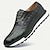 voordelige Herensneakers-Voor heren Sneakers Formele Schoenen Jurk schoenen Leer Italiaans volnerf rundleer Comfortabel Anti-slip Veters Zwart Bordeaux blauw