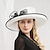 זול כובע מסיבות-כובעים פשתן באולר / כובע שמש כובע סינמאי כובע חתונה מסיבת תה חתונה אלגנטית עם כיסוי ראש עם קשת