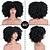 halpa Juhlaperuukit-afro kinky kihara peruukki otsatukkailla 12 tuumaa synteettiset täysperuukat lämmönkestävät lyhyet kiharat peruukit päivittäisiin juhliin karnevaaliperuukit