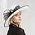 זול כובע מסיבות-כובעים פשתן באולר / כובע שמש כובע סינמאי כובע חתונה מסיבת תה חתונה אלגנטית עם כיסוי ראש עם קשת