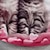 お買い得  トップス-女の子 3D 猫 Ｔシャツ シャツ ピンク 半袖 3Dプリント 夏 活発的 ファッション かわいいスタイル ポリエステル 子供 3〜12年 クルーネック アウトドア カジュアル 日常 レギュラー