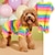 economico Vestiti per cani-Tendenza per l&#039;abbigliamento per animali domestici, versatile e confortevole, maglione da casa per cani da combattimento in flanella a strisce arcobaleno a quattro zampe