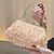 お買い得  クラッチバッグ＆イブニングバッグ-女性用 クラッチバッグ クラッチバッグ ポリエステル 合金 パーティー ブライダルシャワー ウェディングパーティー パール装飾 ビーズ 純色 ホワイト ベージュ