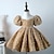Χαμηλού Κόστους Φορέματα για πάρτι-Παιδιά Κοριτσίστικα Φόρεμα για πάρτυ Συμπαγές Χρώμα Μακρυμάνικο Επίδοση Γάμου Δίχτυ Πριγκίπισσα Γλυκός Δίχτυ Μέχρι τη μέση της γάμπας