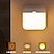 Недорогие Декоративные огни-Перезаряжаемый USB-датчик движения, светодиодный ночник, перезаряжаемый двухцветный (теплый белый и белый), датчик движения PIR, светильник для гардероба, спальни, кухни, лестницы, шкафов, освещения