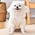 cheap Dog Clothes-Dog Cat Hoodie Fashion Cute Outdoor Sports Winter Dog Clothes Puppy Clothes Dog Outfits Warm Beige Costume for Girl and Boy Dog Plush XS S M L XL