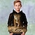 billige Hoodies &amp; Sweatshirts-Drenge 3D Tiger Hattetrøje Pullover Langærmet 3D-udskrivning Forår Efterår Mode Gade Sej Polyester Børn 3-12 år Hætte udendørs Afslappet Daglig Regulær