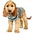 preiswerte Pullover-Hund Katze Pullover Jumper Mode Niedlich Winter Warm Weich Waschbar Bequem Outdoor Sport Hundebekleidung for Bichon Frise Pudel Zwergspitz Baby Haustier Papillon