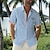 abordables Chemise hawaïenne homme-Chemise hawaïenne à manches courtes pour hommes, imprimé palmier tropical, imprimé en 3d, boutonnée, chemise d&#039;été, vacances, usage quotidien, s à 3xl
