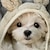 お買い得  女の子の 3d T シャツ-女の子 3D 犬 Ｔシャツ シャツ 半袖 3Dプリント 夏 活発的 ファッション かわいいスタイル ポリエステル 子供 3〜12年 クルーネック アウトドア カジュアル 日常 レギュラー