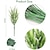 economico Home decor-bouquet di lavanda artificiale simulazione pianta verde decorazione per la casa ristorante giardino fascio di lavanda in plastica piante finte 8 pezzi
