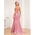 Χαμηλού Κόστους μοντέρνα φορέματα-Γυναικεία Φόρεμα για πάρτυ Νυφικό καλεσμένο Φόρεμα ριχτό από τη μέση και κάτω Μακρύ Φόρεμα Μάξι Φόρεμα Ανθισμένο Ροζ Αμάνικο Σκέτο Με Κορδόνια Καλοκαίρι Άνοιξη Φθινόπωρο Λαιμόκοψη V