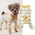voordelige Hondenkleding-kleding voor huisdieren met ronde hals en cartoon dierenkarprint boog teddybeer bado vierpotige pyjama