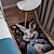 abordables alfombras de salón y dormitorio-Alfombra de área de conejo lindo de Pascua, alfombra de cocina, alfombra antideslizante a prueba de aceite, alfombra de sala de estar, alfombra interior y exterior, decoración de dormitorio, alfombra