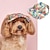 cheap Dog Clothes-Hot Selling Pet Baseball Cap With Sun Shading And Cooling Trend Contrasting Color Camouflage Schnauzer Bears Badou Princess Hat