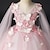 Χαμηλού Κόστους Φορέματα για πάρτι-Παιδιά Κοριτσίστικα Φόρεμα για πάρτυ Συμπαγές Χρώμα Αμάνικο Επίδοση Γάμου Δίχτυ Πριγκίπισσα Γλυκός Δίχτυ Μέχρι τη μέση της γάμπας Φόρεμα σε ευθεία γραμμή Φόρεμα τούλι Φόρεμα για κορίτσια λουλουδιών
