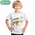 economico magliette 3d da ragazzo-Carnevale Da ragazzo 3D Cartoni animati Pagliaccio T-shirt Camicie Manica corta Stampa 3D Estate Attivo Sportivo Di tendenza 100% cotone Bambino 3-12 anni Girocollo Esterno Informale Giornaliero