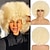 cheap Costume Wigs-Afro Wigs for Black Women 10 inch Afro Curly Wig 70s Large Bouncy and Soft Natural Looking Full WIgs for Party Cosplay Afro Wig