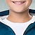 abordables Animaux 3D pour Garçon-Garçon 3D Chat Sweat à capuche Manteau Pardessus manche longue Automne Hiver Actif Vêtement de rue Frais Polyester Enfants 3-12 ans Fermeture Eclair Plein Air du quotidien Standard