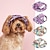 cheap Dog Clothes-Hot Selling Pet Baseball Cap With Sun Shading And Cooling Trend Contrasting Color Camouflage Schnauzer Bears Badou Princess Hat