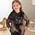 cheap Girl&#039;s 3D Hoodies&amp;Sweatshirts-Girls&#039; 3D Cat Hoodie Pullover Long Sleeve 3D Print Spring Fall Active Fashion Cute Polyester Kids 3-12 Years Hooded Outdoor Casual Daily Regular Fit