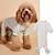 billige Hundetøj-bixiong elastik behagelig størrelse hund kat bamse pyjamas kæledyr firbenet tøj hjemmetøj