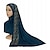 Недорогие Национальная мусульманская одежда в арабском стиле-Жен. Шали хиджаб шарфы Дубай исламский Арабский арабский Мусульманин Рамадан Взрослые Воротник-шаль