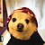 baratos Moletons-Cachorros Gatos Camisola com Capuz Moda Estilo bonito Inverno Quente Macio Lavável Confortável Ao ar livre Esportes Roupas para cães for Bichon Frise Poodle Pomerânia Animais de Pequeno Porte