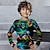 Недорогие 3d футболки мальчика-Мальчики 3D игра Футболка Рубашка Длинный рукав 3D печать Весна Осень Спорт Мода Уличный стиль Полиэстер Дети 3-12 лет Вырез под горло на открытом воздухе Повседневные Стандартный
