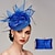 cheap Wedding &amp; Party-Feathers Net Fascinators Hats Headpiece with Feather Cap Flower 1 PC Wedding Horse Race Ladies Day Melbourne Cup Headpiece with A Clutch Evening Bag