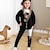 abordables sets-Chica 3D Gato Conjunto de sudadera y leggings Manga Larga Impresión 3D Primavera Otoño Activo Moda Diario Poliéster Niños 3-12 años Cuello Barco Exterior Cita Vacaciones Ajuste regular