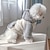 voordelige Hoodies-Honden Katten Hoodies Modieus leuke Style Winter Warm Zacht Wasbaar Comfortabel Buiten Sport Hondenkleding for Bichon Frise Poedel pomeranian kleine huisdieren Vlinder