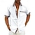 Χαμηλού Κόστους ανδρικό πουκάμισο με κουμπιά-Ανδρικά Πουκάμισο Πουκάμισο με κουμπιά Καλοκαιρινό πουκάμισο Μαύρο Λευκό Ανθισμένο Ροζ Ρουμπίνι Θαλασσί Κοντομάνικο Συνδυασμός Χρωμάτων Καρό / Τετραγωνισμένο Απορρίπτω Δρόμος Causal Κουμπί-Κάτω Ρούχα