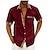 abordables camisa con botones para hombre-Hombre Camisa Abotonar la camisa Camisa de verano Negro Blanco Rosa Rojo Azul Piscina Manga Corta Bloque de color Ajedrez Cuello Vuelto Calle Casual Abotonar Ropa Deportes Moda Clásico Cómodo