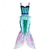 cheap Movie &amp; TV Theme Costumes-Little Mermaid Princess Ariel Cosplay Costume Outfits Girls&#039; Movie Cosplay Cosplay Top+Skirt (Without Accessories) Top+Skirt (With Accessories) Halloween Masquerade Top Mermaid Fishtail