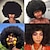 abordables Pelucas para disfraz-Pelucas afro para mujeres negras Peluca afro negra corta de los años 70 pelucas afro hinchadas disco para mujeres peluca rizada rizada Peluca sintética de aspecto natural de 10 pulgadas fiesta diaria