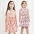 זול שמלות פרחים-ילדים בנות שמלה גראפי ללא שרוולים בָּחוּץ קזו&#039;אל מקסים פוליאסטר קיץ 3-10 שנים צבעוני ירוק בהיר ורוד מסמיק