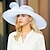 זול כובע מסיבות-כובעים סיבי באולר / כובע קלושה כובע דלי כובע תקליטון חתונה מסיבת תה חתונה אלגנטית עם כיסוי ראש פרחוני בצבע טהור