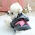 levne Oblečky pro psy-teplý svetr s hvězdným patchworkem roztomilý pohodlný všestranný měkký a všestranný
