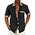 Χαμηλού Κόστους ανδρικό πουκάμισο με κουμπιά-Ανδρικά Πουκάμισο Πουκάμισο με κουμπιά Καλοκαιρινό πουκάμισο Μαύρο Λευκό Ανθισμένο Ροζ Ρουμπίνι Θαλασσί Κοντομάνικο Συνδυασμός Χρωμάτων Καρό / Τετραγωνισμένο Απορρίπτω Δρόμος Causal Κουμπί-Κάτω Ρούχα