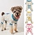 cheap Dog Clothes-Pet Clothing Threaded Round Neck Cartoon Animal Cart Print Bow Teddy Bear Bado Four Legged Pajamas
