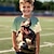 billige drenges 3d t-shirts-Drenge 3D Dinosaurus Fodbold T-shirt Skjorte Kortærmet 3D-udskrivning Sommer Aktiv Sport Mode Polyester Børn 3-12 år Rund hals udendørs Afslappet Daglig Regulær