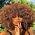 abordables Perruques de déguisement-perruques afro pour femmes noires 10 pouces perruque afro bouclée années 70 grandes perruques complètes rebondissantes et douces d&#039;aspect naturel pour la fête cosplay perruque afro