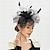 baratos Chapéus e Fascinators-Fascinadores Peça para Cabeça Pena Rede Casamento Festa de Noite Kentucky Derby Corrida de cavalos Dia da Mulher Elegante Elegante &amp; Luxuoso Casamento Com Penas Floral Capacete Chapéu