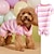 voordelige Hondenkleding-huisdierkleding trend veelzijdige en comfortabele flanel regenbooggestreepte vierpotige teddy vechthond thuistrui